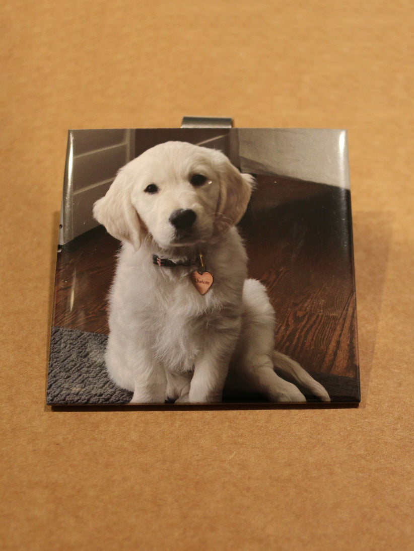 Visor Photo Memory Clip