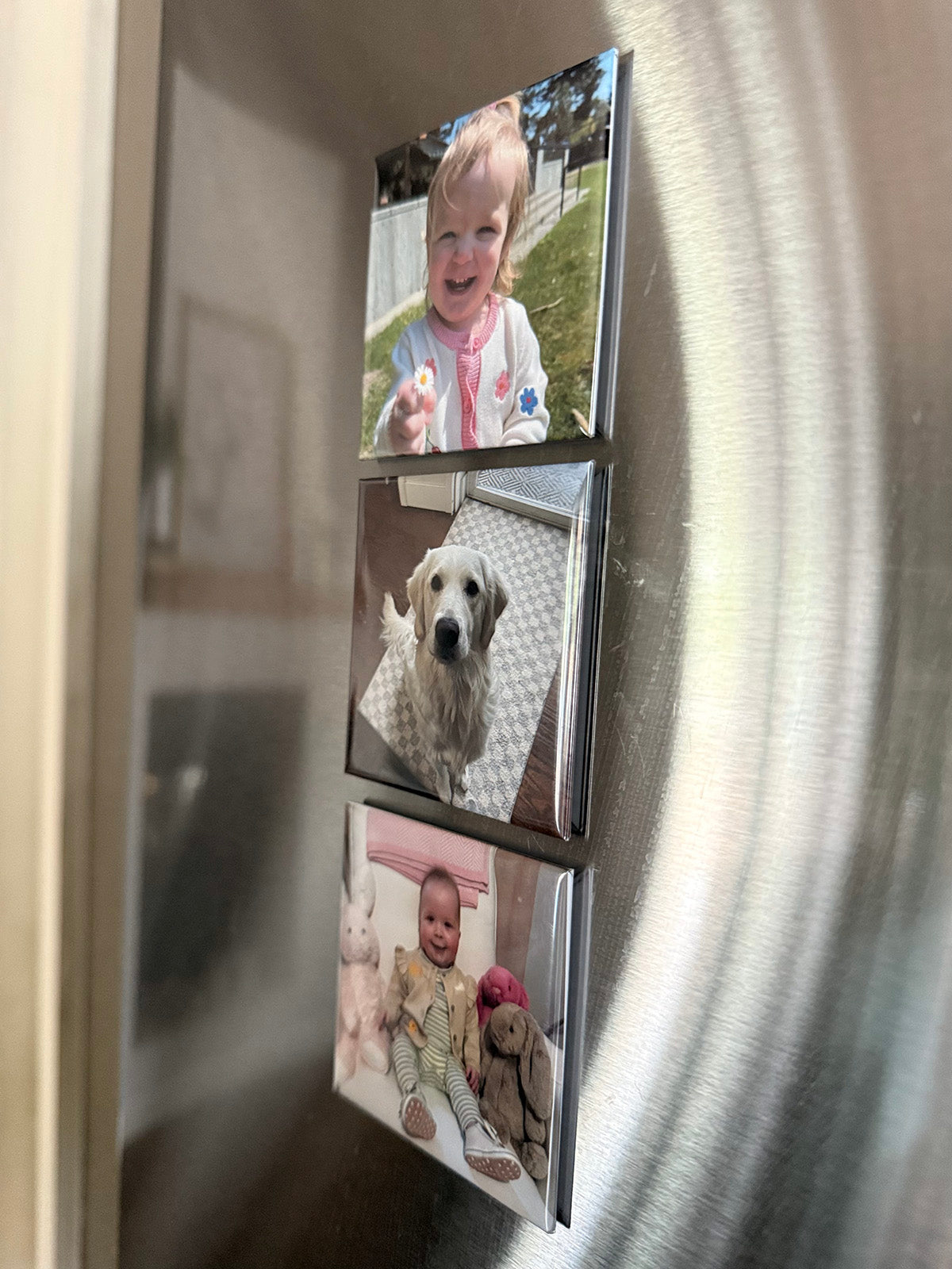 Photo Magnet Set